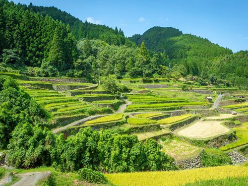 市街から車で15分、里山暮らしもはじめやすい