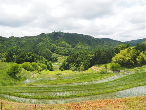 ニュータウンと里山が同居するまち