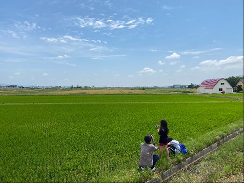 心癒される風景が至るところにあります。