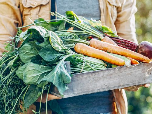 規格外の野菜を捨てずに活用するプロジェクト