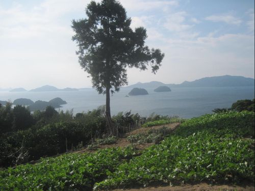 美しい離島で、農業・漁業の振興に取り組みます。