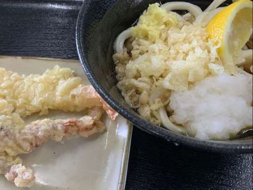 手打ちうどん　孫心