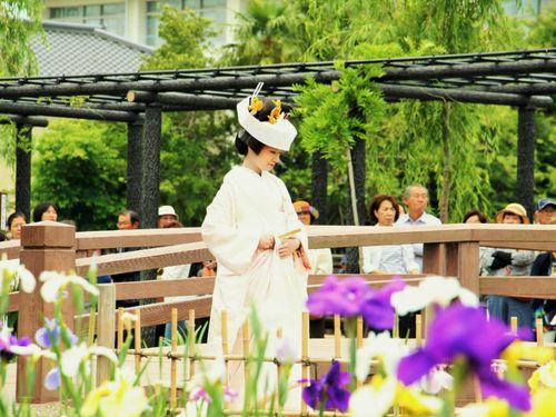 潮来市最大のイベント『あやめ祭り』