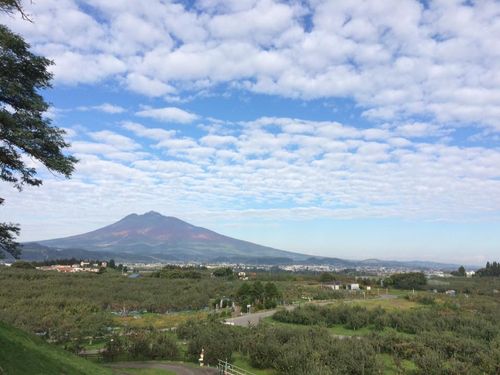 「津軽富士」と称される岩木山と、りんご畑の美しい弘前の風景