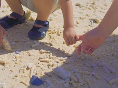 白い砂や貝やサンゴも子どもの遊び場に！！