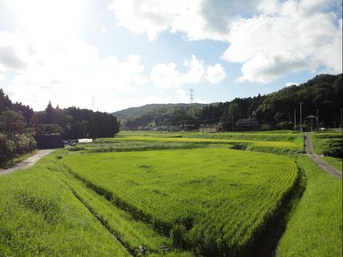 山間の地域でスローライフ