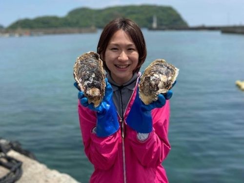 まつえ岩がきのブランド化