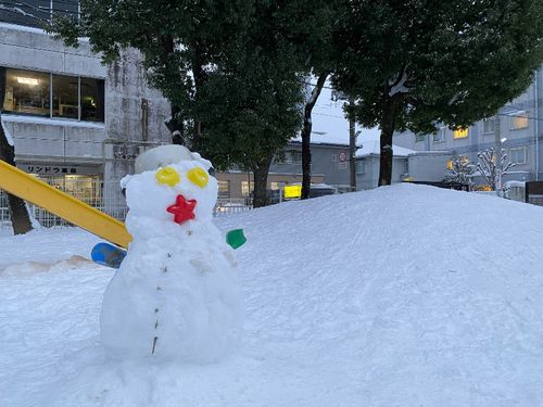 福島市ってどのくらい雪が降るの？
