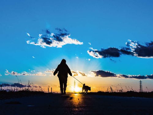 加東の夕日