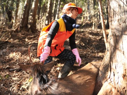 捕獲した鹿を運ぶところ（止め刺し～搬入は運がよければ見学できます）
