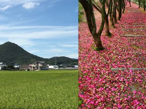 三木町／さぬき市