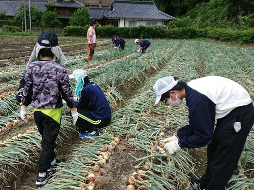 地元だけでなく、他地域の子供達とも接点を持ち、地域のことを知ってもらったり、農業体験を手伝ったりしてきました