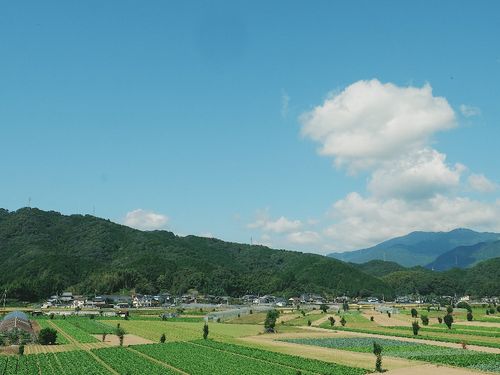 農ある風景