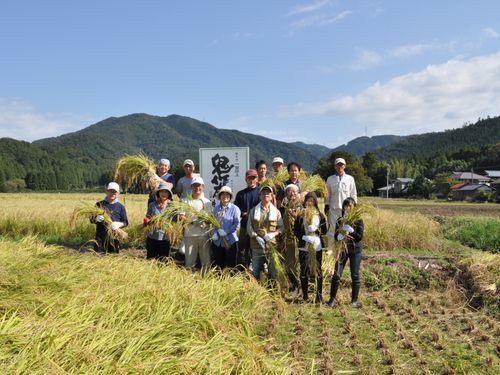 みんなで協力しながらの稲刈りは楽しいですよ！
