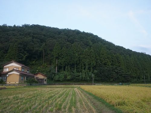 田んぼ、川、山があるのどかな里山