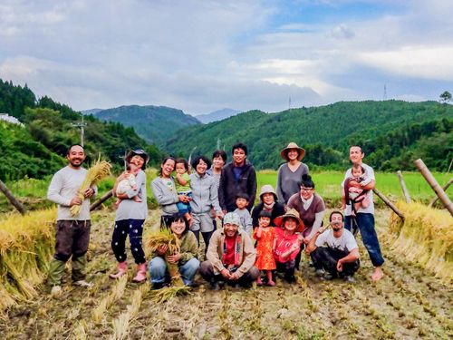 せっかく山で暮らしているので、昨年は先輩移住者の有機農家さんと一緒にお米作りにチャレンジさせていただきました！