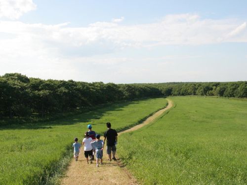 自然豊かな環境で、新しい暮らしと仕事を始めませんか？