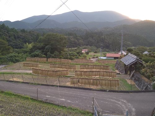 稲刈り後の風景