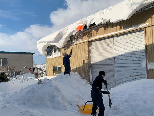朝は皆で雪片付け。最初は腰が痛くなるかもしれませんが、コツをつかむとサクサク片付けられます。ぜひぜひ我々の雪片付けスキルを習得してくださいね。