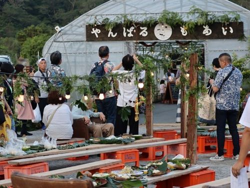やんばるもあいの雰囲気