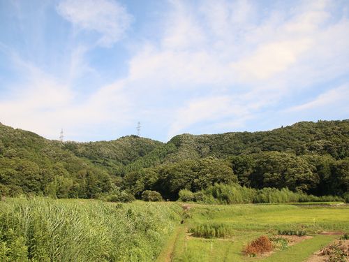 王さんの家の裏の景色