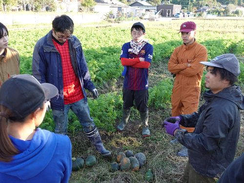 豊岡の協力隊の仲間たちと農業体験