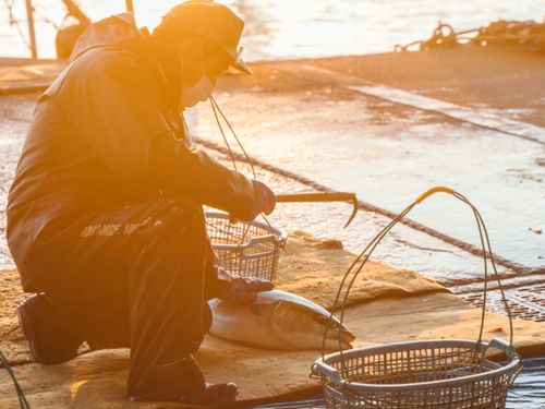 長島大陸の魅力は豊かな一次産業と人。そんな魅力を武器に島の外の人と、中の人を繋いでいってもらいます！