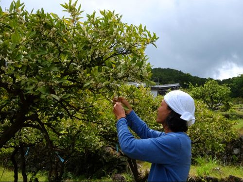 地道な作業、でもこれが大切な作業