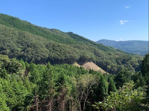新庄村の山々。ここから岡山県三大河川のひとつである、旭川の水が生まれています。