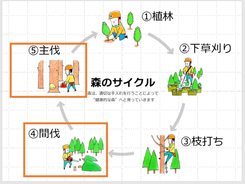 現代の森づくり
