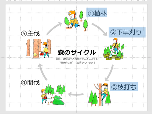 現代の森づくり