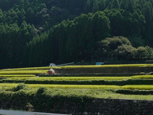 集落の農家後継者育成のため、2022年から地域おこし協力隊を受け入れています