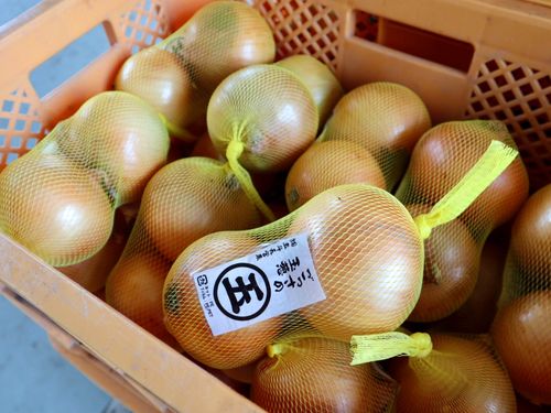 栄養と愛情満点！「まるご」玉ねぎづくり