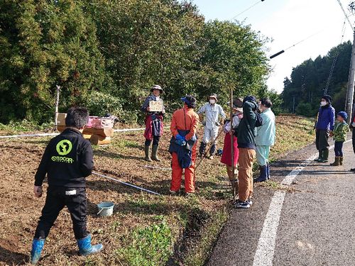 通学路にある荒廃地を整備して花でいっぱいにしよう