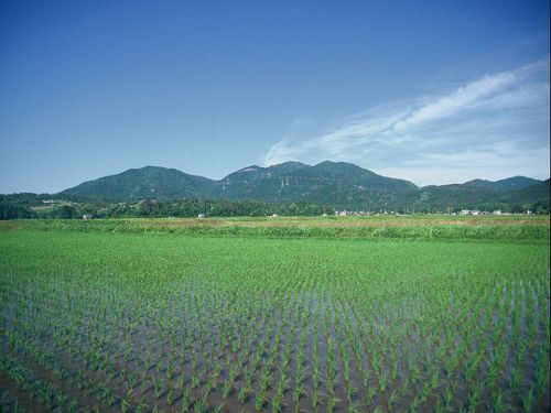 田園風景
