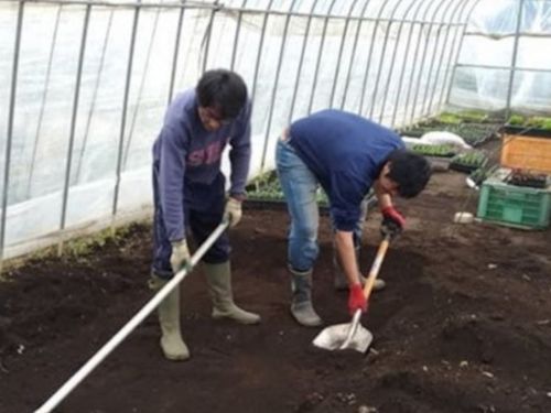 地域おこし協力隊の研修の様子。土づくりから学びます