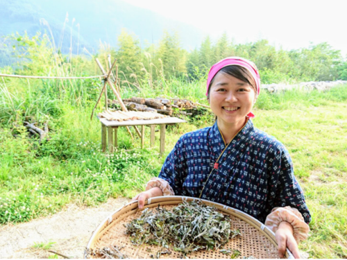 お茶は自家栽培、が椎葉スタイル
