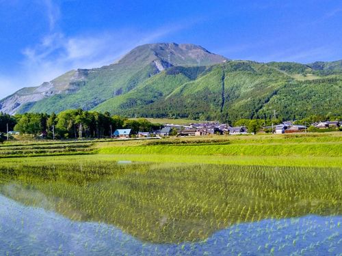 初夏　田んぼに映り込む伊吹山