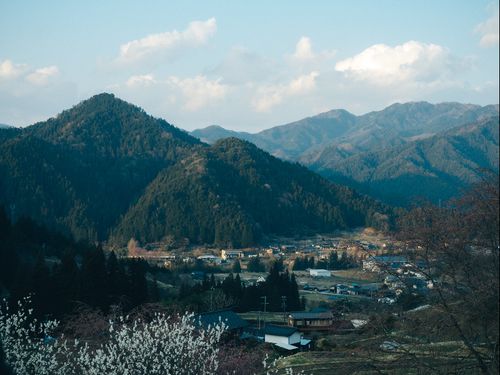 小さな山村の中に現時点で100件前後の空き家があります。