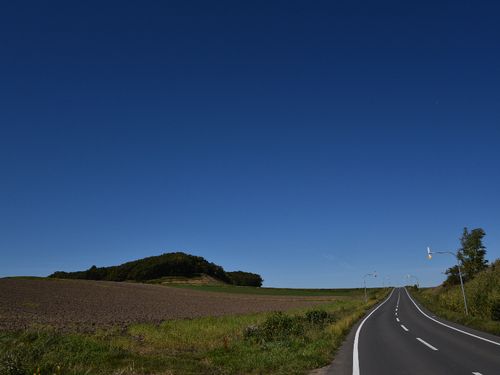 町内の夏の景色