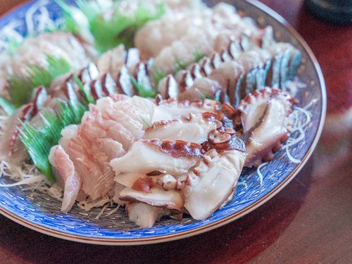 とにかく魚好きには最高の島です！
