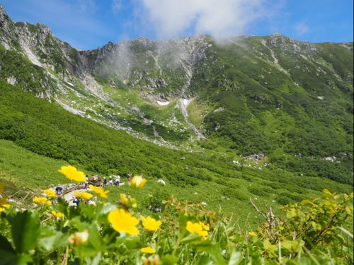 新緑の木曽駒ケ岳。季節により様々な高山植物と出会えます。