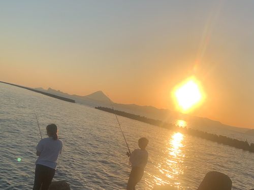 田舎暮らし満喫中の1枚。