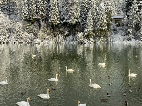 石畑池