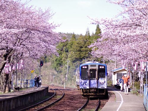 四季をより色濃く感じやすい地域です