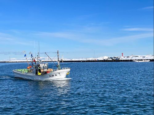 冬の日本海であなたを待っています。