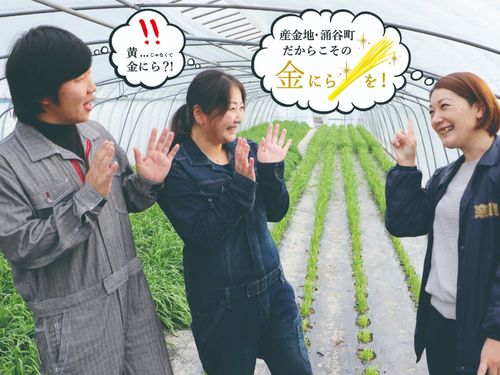 金色のにらを提案し生産を本格化するためのクラウドファンディングにも共に挑戦
