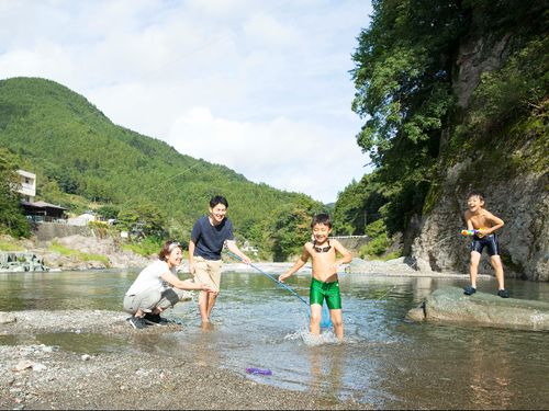 夏の日常の光景です