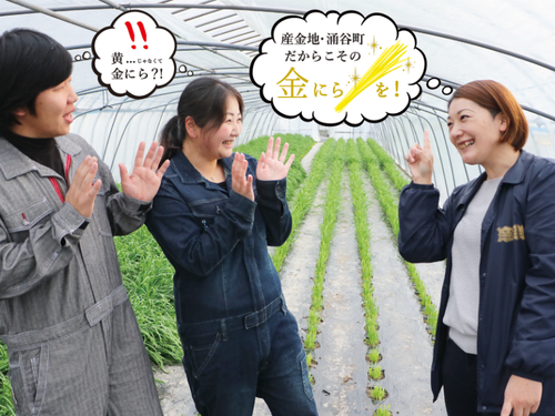 地域おこし協力隊が提案した「金色のにら」の生産を強化するために、共にクラウドファンディングに挑戦したり