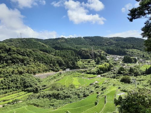雲仙市の山間地にある農地の様子